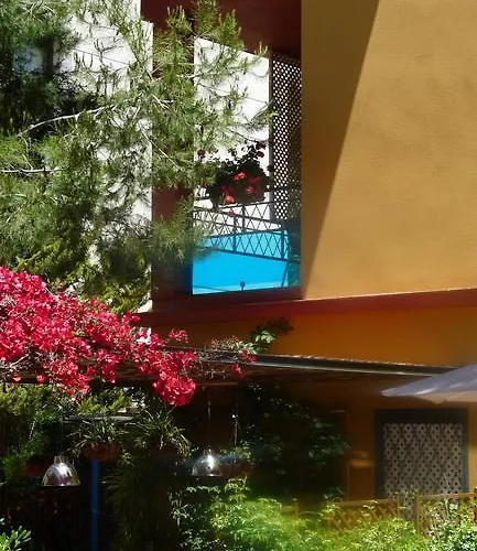 Ribes Roges 2*
