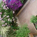 Ribes Roges