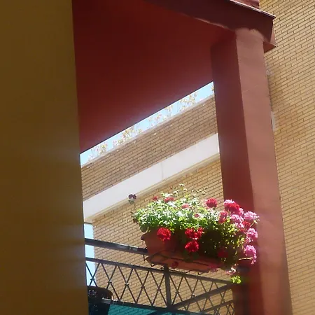 Ribes Roges 2*