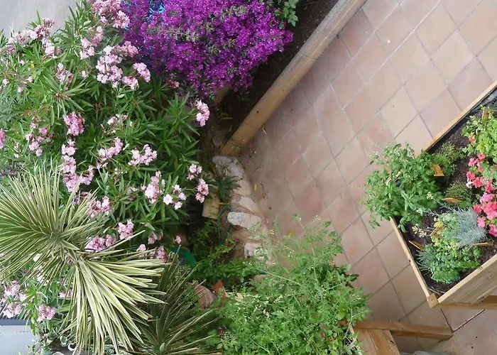 Ribes Roges